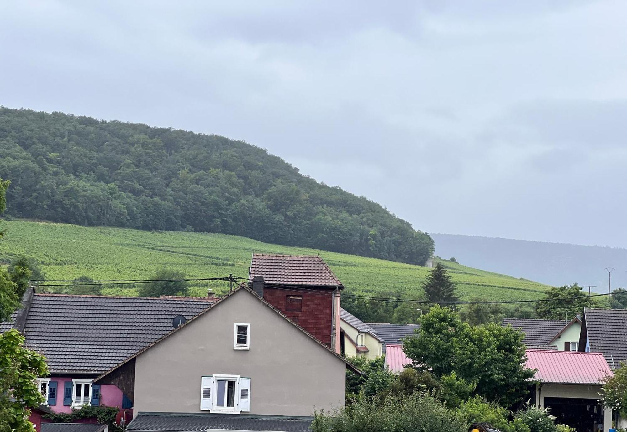 Gites Du Bel Alsace Cote Vignoble Westhalten Esterno foto