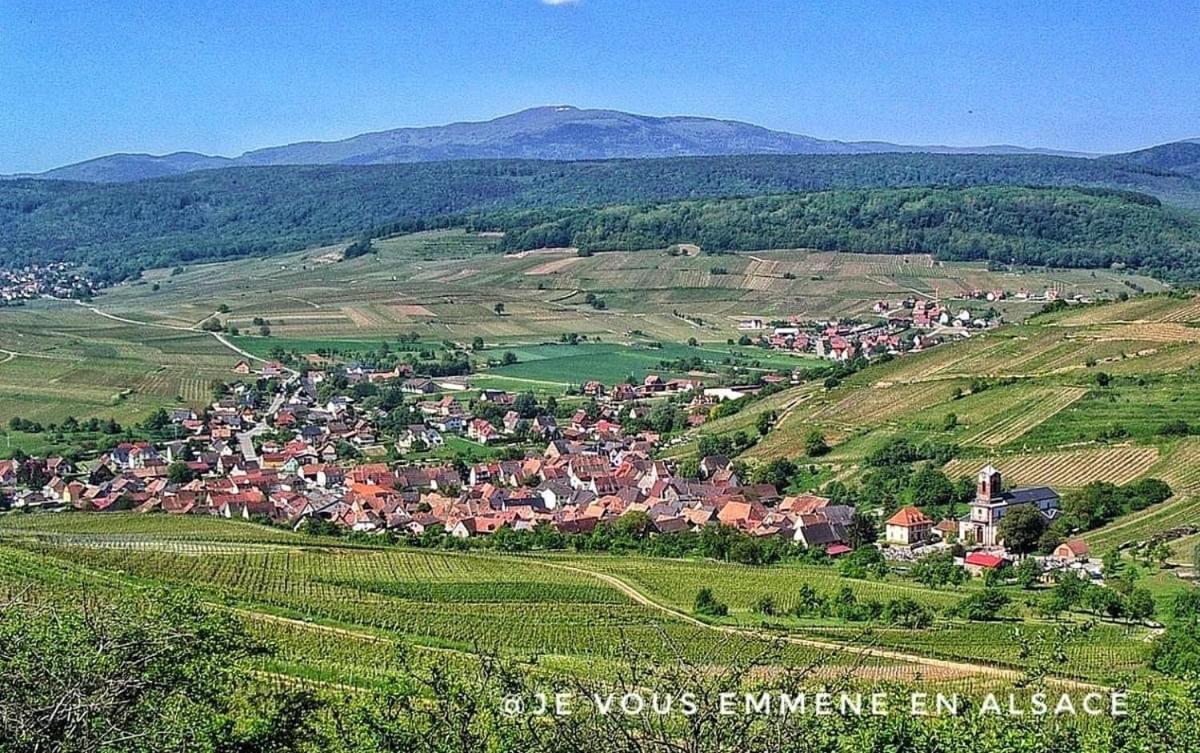 Gites Du Bel Alsace Cote Vignoble Westhalten Esterno foto